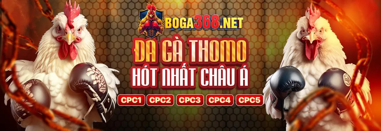 Đội ngũ rgbet nhà cái cùng tầm nhìn phát triển