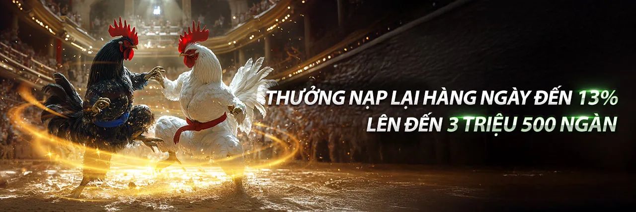 Hình ảnh chính về các phương thức thanh toán an toàn tại rgbet nhà cái