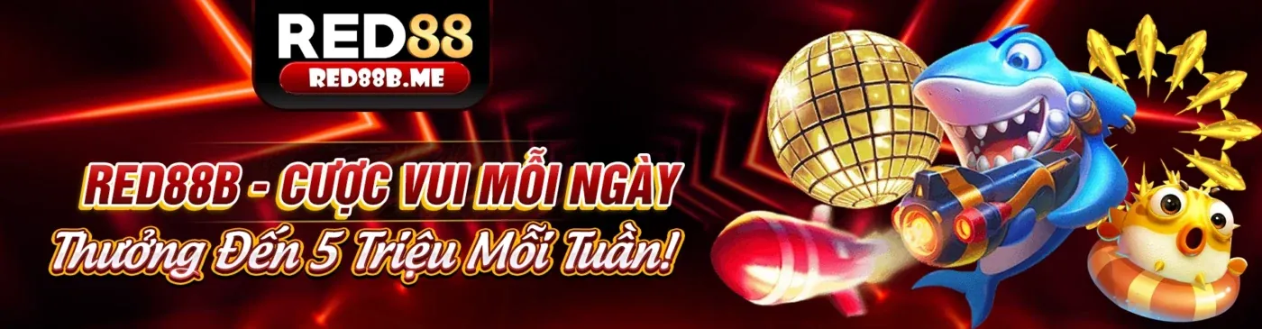 Hình ảnh các mẹo chơi casino hiệu quả tại rgbet nhà cái