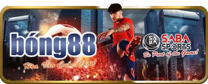 Cá cược thể thao trên ứng dụng rgbet